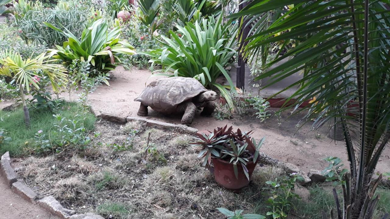 Case De Robinson Lomé Extérieur photo